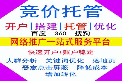 百度竞价排名策略解析：一家公司的广告投放策略全揭秘